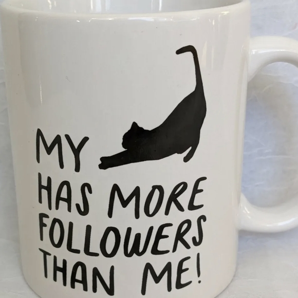Kitty Mug My Cat Has More Followers Than Me Lover Influencer Coffee Cup Meme Tea - Picture 8 of 9